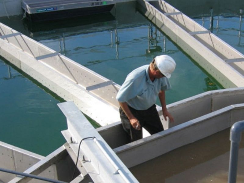 galeria abertura site.jpg